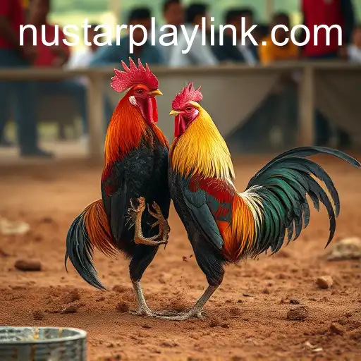 Gaming Experience NUSTAR game link - 800+ Premium and Exclusive Games